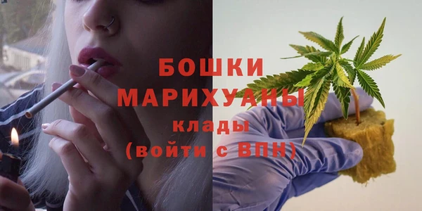 ALPHA-PVP Новозыбков