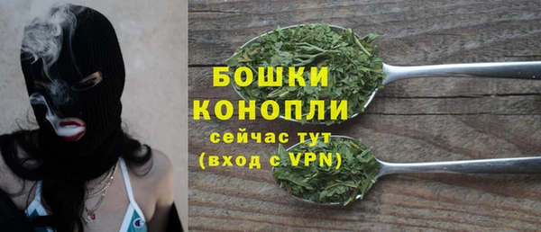 ALPHA-PVP Новозыбков