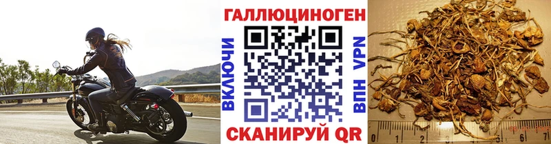 shop какой сайт  Калач-на-Дону  Галлюциногенные грибы ЛСД 