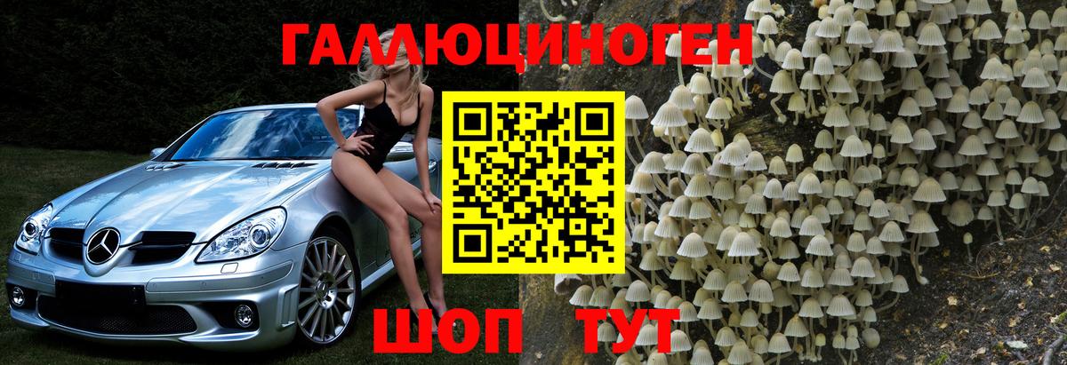 Галлюциногенные грибы Magic Shrooms  Калач-на-Дону 