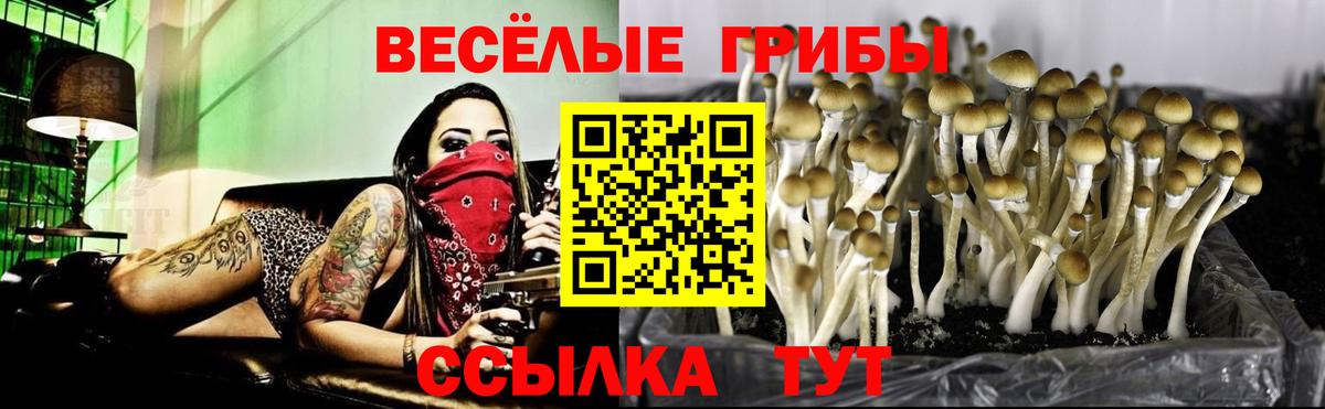 Псилоцибиновые грибы MAGIC MUSHROOMS Калач-на-Дону